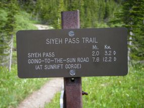 Experience Siyeh Pass: Glacier NP's Best for Wildflowers, Glaciers & Vistas